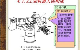 工业机器人本体结构中哪个部分决定了活动范围？