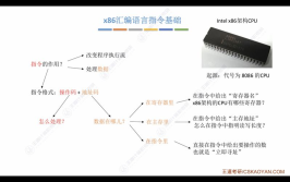 工业机器人技术应用专业代码如何查询？有哪些渠道？