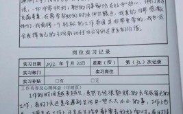 工业机器人编程与操作实训日志应包括哪些内容？如何记录？