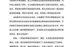 社会实践个人总结2000字应如何撰写？有哪些要点？