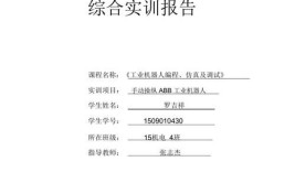 工业机器人编程与操作实训报告总结分析技巧。