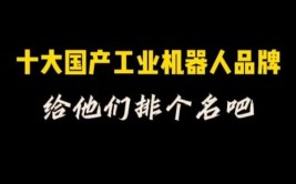 国产工业机器人品牌都有哪些？市场表现如何？