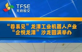 龙潭工业机器人产业功能区位置在哪里？有哪些政策支持？