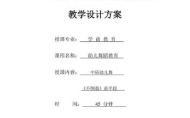 教学能力大赛教学实施报告指南有哪些要点？