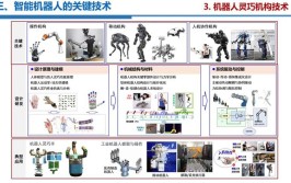 小型机器人应用领域广泛吗？有哪些具体应用案例？