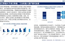 2024年中国工业机器人行业研究报告亮点在哪？有何趋势？