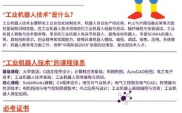 工业机器人技术专业教学标准包含哪些内容？有哪些要求？