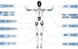 阿特拉斯机器人有哪些特点？应用在哪些领域？