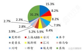 2024年中国工业机器人消费量占全球总量比重超过，具体数据是多少？