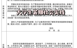 大学生社会实践报告1500字应包含哪些内容？